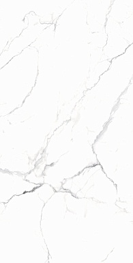 Керамогранит Arcadia Ceramica RT7018-A Carrara White Matt Rustic 60x120