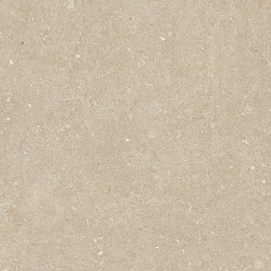 Керамогранит Casa Dolce Casa 785505 Rinascenza Arena Conchiglia Grip 20mm 120x120