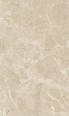 Плитка Gracia Ceramica Saloni brown 01 30*50