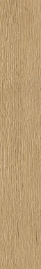 Керамогранит Stargres SGR29 Aurevia Gold 9.2x60