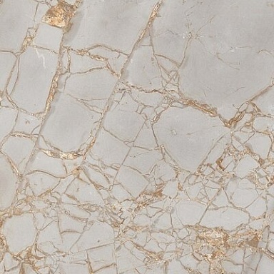 Golden Grey PrimaVera