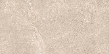 Декор Gambini Blend Tan Rett 60x120