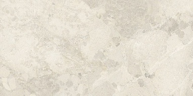 Керамогранит Imola Ceramica CR BIT R12A RM 60x120