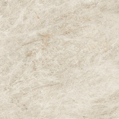 Керамогранит Atlas Concorde Italy AX8Q Marvel Diva Taj Mahal Velvet 120x120