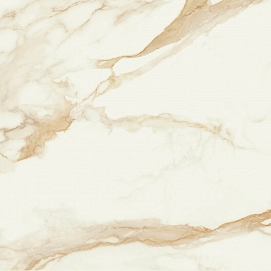 Керамогранит STN Ceramica P.E. Pul. Camile gold rect. 120x120