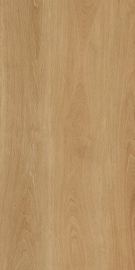Керамогранит Protiles PT12F7041 Albero Beige Matt 1200х600х9