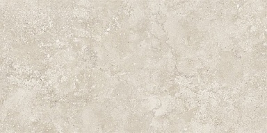 Керамогранит NT Ceramic NTT9453M Zeus Taupe Mat 60x120