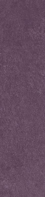 Керамогранит Simpolo Ceramics Scs Spectra Wine 5,8х25