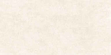 Керамогранит Alma Ceramica GFU60120BLN04R Berlin 120x60