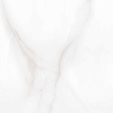 Керамогранит Arcadia Ceramica RT6004-A Feather Onyx Matt Rustic 60x60