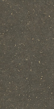 Керамогранит Casa Dolce Casa 785495 Rinascenza Arena Platino Grip 60x120