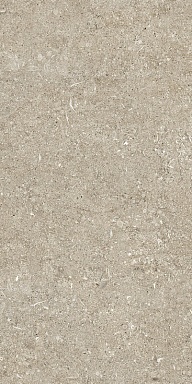 Керамогранит Casa Dolce Casa 768338 Sensi Ivory Fossil R+PTV Ret 40x80