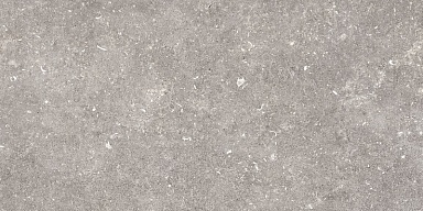 Керамогранит Pamesa 096.022.0002.00206 Dover Gris MT Rect 60x120