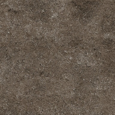 Керамогранит Casa Dolce Casa 768379 Sensi Brown Fossil Ret 80x80
