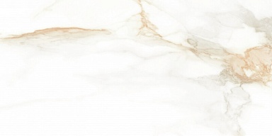 Керамогранит STN Ceramica Camile gold Pul rect. 60x120