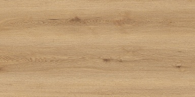Керамогранит Global Tile GT5010026902MCR Вуди Бежевый 50x100