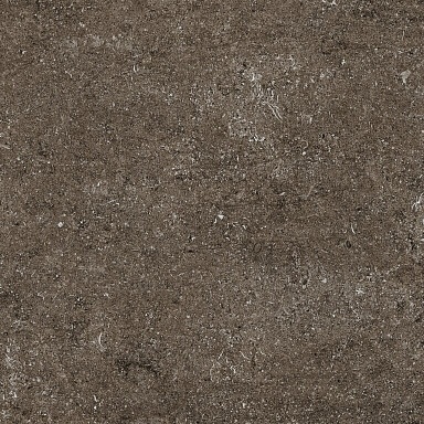 Керамогранит Casa Dolce Casa 768380 Sensi Brown Fossil R+PTV Ret 80x80