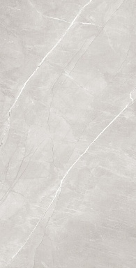 Керамогранит Arcadia Ceramica RT7013-A Armani Silver Matt Rustic 60x120
