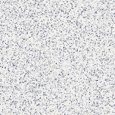 Керамогранит Marazzi Italy MMZY Frammento Macro Azzurro R10 RT 120x120