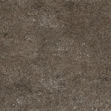 Керамогранит Casa Dolce Casa 768380 Sensi Brown Fossil R+PTV Ret 80x80