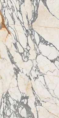 Керамогранит Ariana Ceramica PF60009341 Arabescato Lapp. 3d Ret 60x120