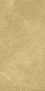 Плитка Italon 600010002262 Terraviva Сенапэ 40x80