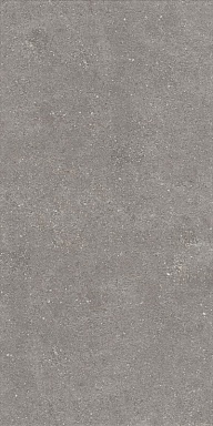 Керамогранит Artcer 1224 Graniti Grey Matt Ghr 120x60