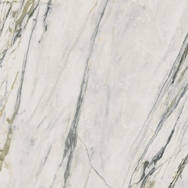 Керамогранит Ariana Ceramica PF60009362 Calacatta Bamboo Nat Ret 80x80