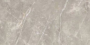 Керамогранит Cerim 766617 Elemental Grey Dolomia Nat Ret 30x60