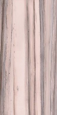 Керамогранит Cedit 764062 Policroma Valtoce Mat 6mm 60x120