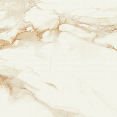 Керамогранит STN Ceramica P.E. Pul. Camile gold rect. 120x120