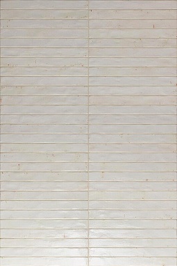 Керамогранит Sadon J92082 Colors White 4,8x45