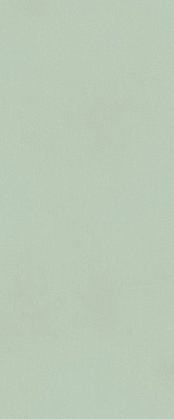 Плитка FAP Ceramiche fTDV True Color Matcha Matt RT 50x120