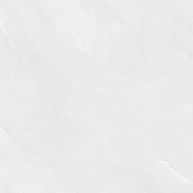 Керамогранит Pardis Ceramic Pazh 166513 Fluorite Polished 60x60