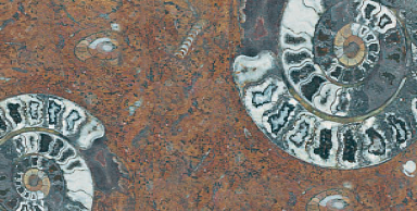 Керамогранит Serapool FM3366 Fossil Mix 33х66