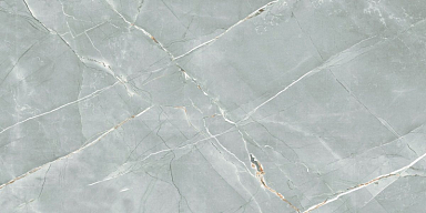 Керамогранит Royce R_PR2019 William Grey Polished 60x120
