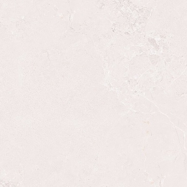 Керамогранит Vizavi ZA-B60347 Butterfly MR 600x600x9