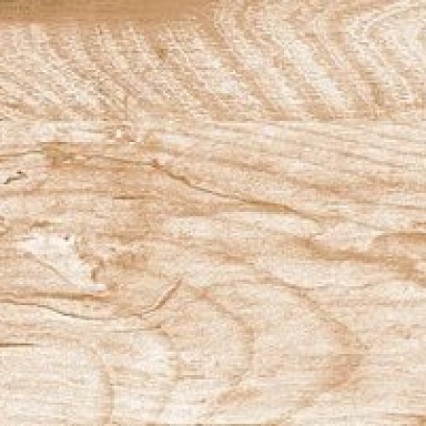 Phoenix Eurotile