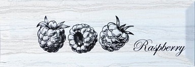 Декор Monopole Decor Fruit Laguna Raspberry 10x30