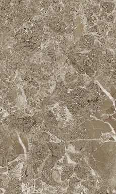 Плитка Gracia Ceramica Saloni brown 02 30*50