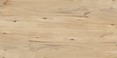 Керамогранит Buono Ceramica FVL4511M Sweet Home Matt 60x120
