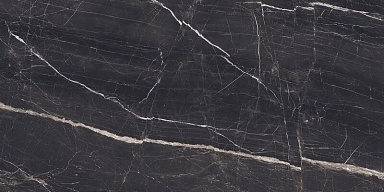 Керамогранит Duna Evolic Nero 120x60