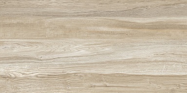 Плитка Alma Ceramica TWU09WDX404 Dakota Woodmix 24.9x50