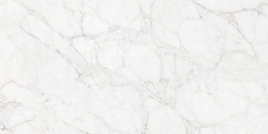 Керамогранит Neodom N12045 Carrara Giaola Polished 60x120