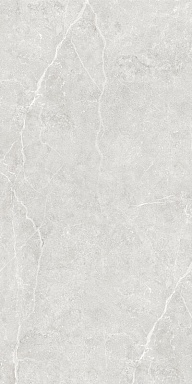 Керамогранит Global Tile GT1206020506LGR Ideal Светло-серый лаппатированный 60x120