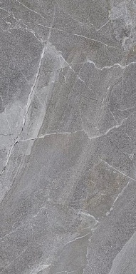 Керамогранит LB-Ceramics 6493-0147 Гроза серый 60х120