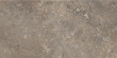 Керамогранит NT Ceramic NTT9450S Pietra Brown Struttura 60x120
