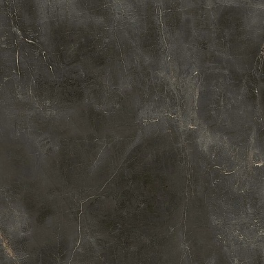 Керамогранит Coliseumgres 610010005764 Canova Dark Ret 60x60