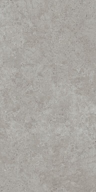 Керамогранит Kerama Marazzi DD590620R Про Лаймстоун АТ серый натуральный обрезной 119,5x238,5x0,9