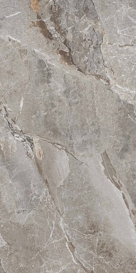 Керамогранит PrimaVera PR209 Essence Grey Polished 600x1200